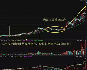 如何在股票市场赚到钱呢 如何在股票市场赚到钱呢