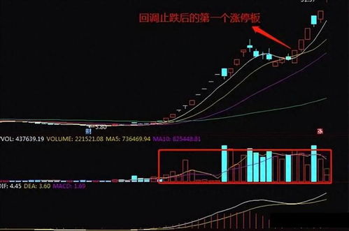 股票入市如何赚钱 股票入市如何赚钱