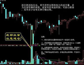 该如何学会看股票买卖