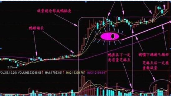 如何抓取老鸭头股票 如何抓取老鸭头股票