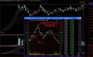 股票如何和环境结合发展