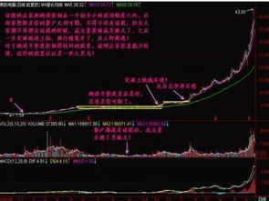 该如何做好股票的主力 该如何做好股票的主力