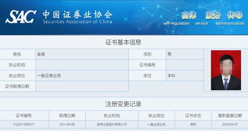 名下证券帐户怎么查询