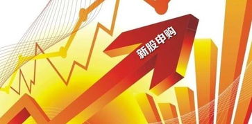 股票如何申购新股申购 股票如何申购新股申购