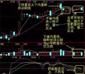 如何利用60分钟选股票 如何利用60分钟选股票