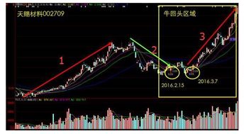 公司的股票如何上涨
