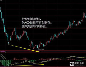 如何识别股票上涨和下跌