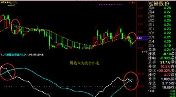 如何选股票是关键的