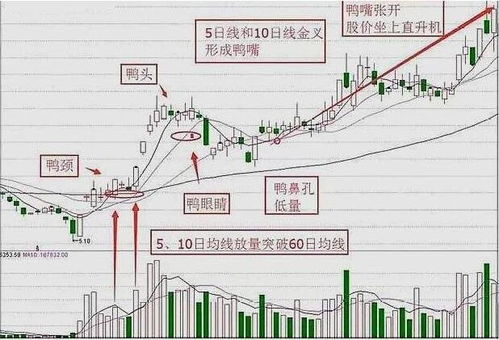如何判断跑路股票