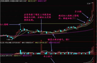 如何把握股票的仙人指路