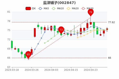 盐津铺子股票如何