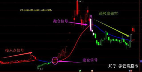 如何分辨股票龙头