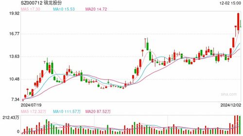 中山证券怎么开通可转债