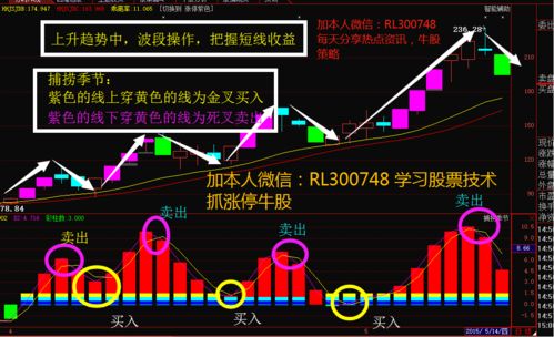 苏博得股票如何