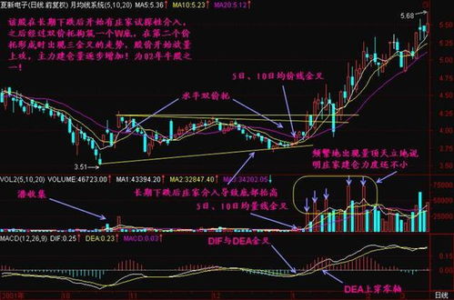 如何看股票三金叉