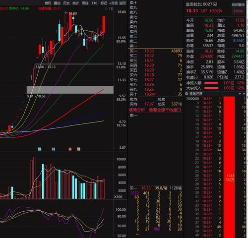 金发拉比这个股票如何 金发拉比这个股票如何