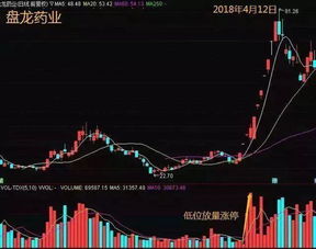 如何查看股票挣多少