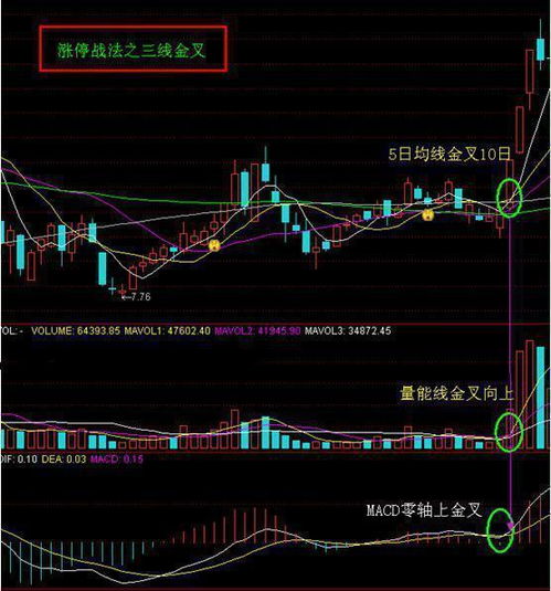 股票市场中主力如何赚钱