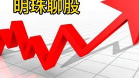 如何赢股票