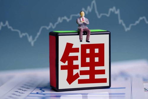 如何在智利买农场股票 如何在智利买农场股票