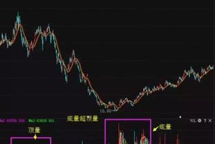 如何开通股票机构账户 如何开通股票机构账户