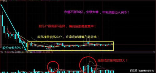 如何按收益率加仓股票 如何按收益率加仓股票