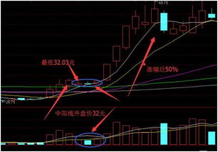 股票趋势如何抓