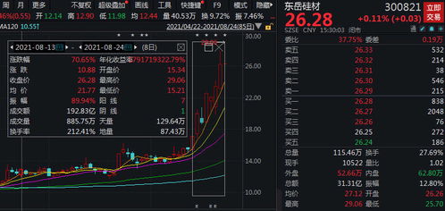 如何查看东岳硅材股票