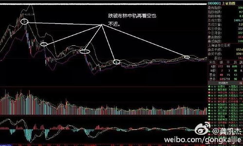 高风险股票如何选择涨跌
