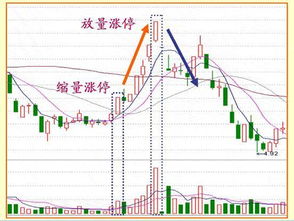 基金股票如何运作