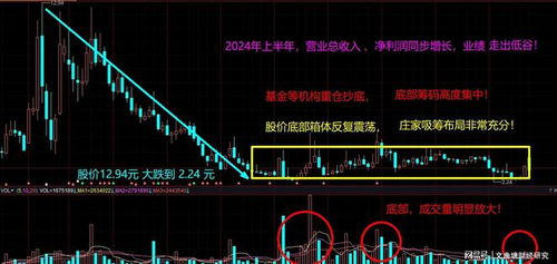 大震荡后的股票如何走势