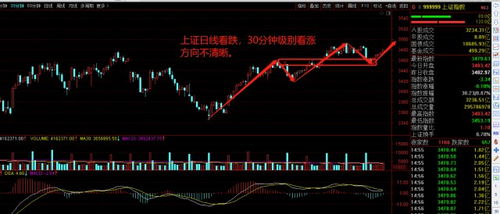 大震荡后的股票如何走势