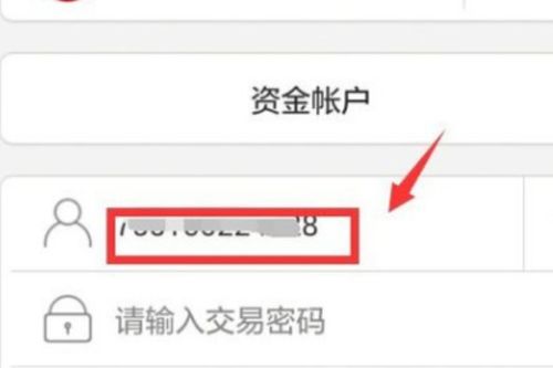 金马证券怎么拿回钱