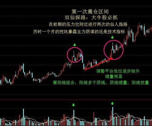 连城如何分股票 连城如何分股票