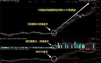 如何判断股票价格底部 如何判断股票价格底部