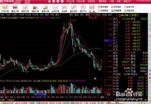 怎么查股票证券公司