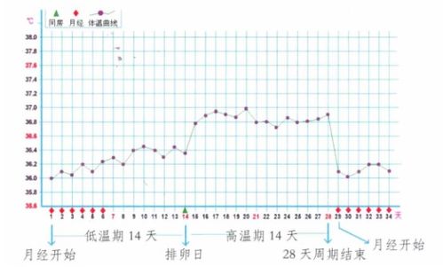 证券基础体温怎么