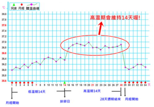 证券基础体温怎么