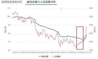 投资者如何预测股票