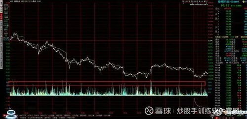 如何看上一只股票
