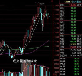 如何选股票财经