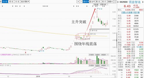 牛市如何选股票基金股