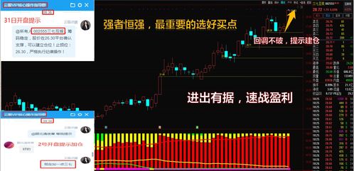 股票如何转基金