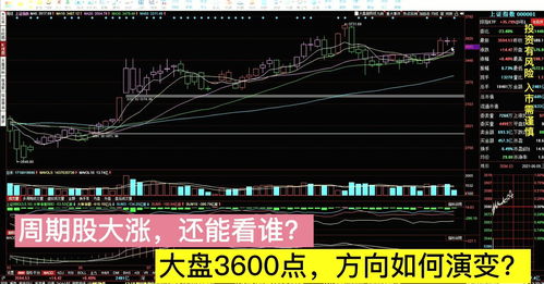 如何看周期股票
