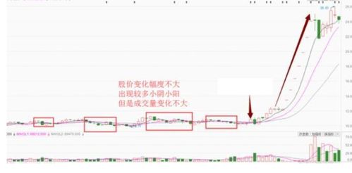 高位股票如何站岗 高位股票如何站岗