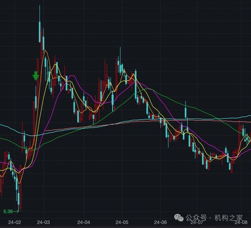 怎么样从证券公司借股票
