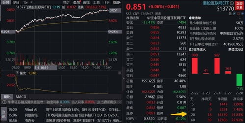 互联网股票如何选购股票