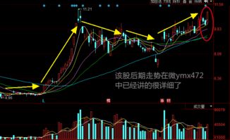如何找到股票走势图解析