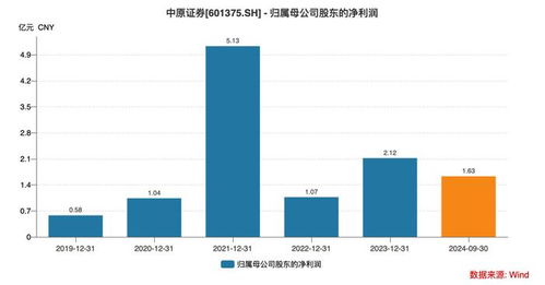 中原证券怎么看亏损的