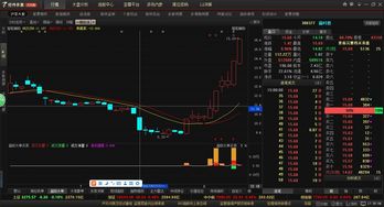 股票如何成功案例